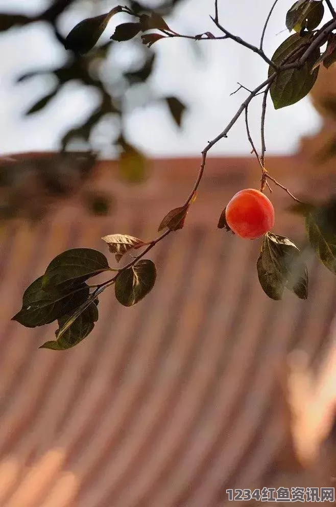 探索自然界的微妙互动：昆虫与植物如何互相依存与共生