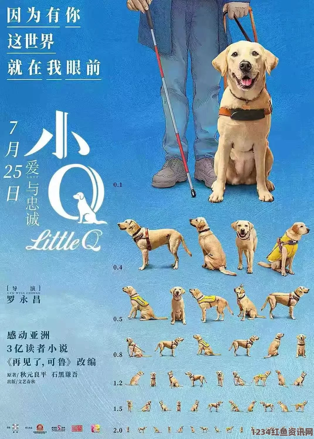 导盲犬奥斯卡，无声英雄，坚韧忠诚的感人行动