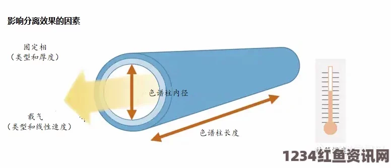 色谱柱是什么？它的工作原理和在实验中的应用有哪些？