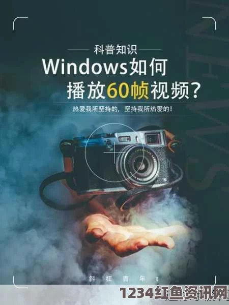 高清Windows视频播放体验，轻松畅享高清视界，不卡顿画面流畅无比