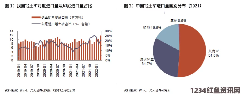 日本稀土进口策略转向印度，降低对中国依赖的考量与未来展望