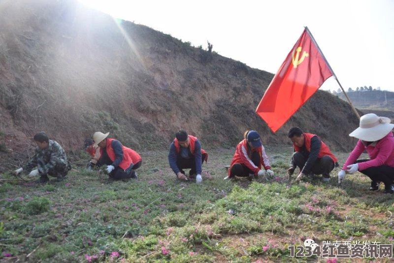 蜜源注册是否必须使用邀请码方可完成注册？