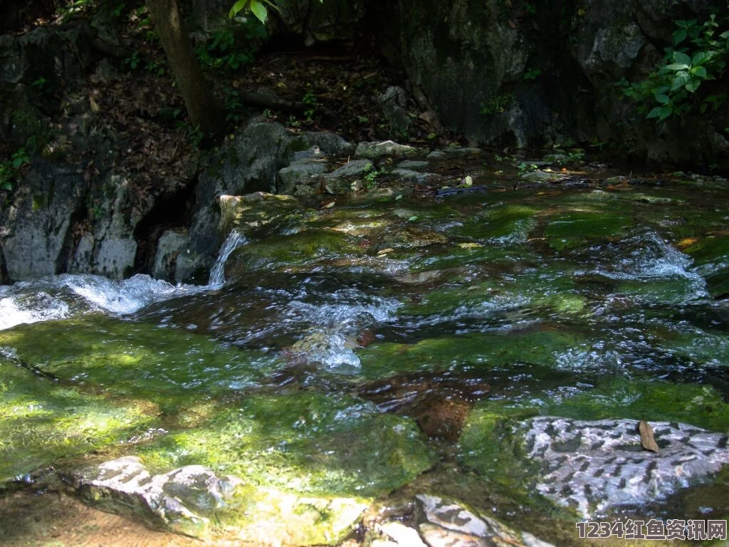 洞内泉水淙淙、洞外草木萋萋的奇妙景象，是什么原因造就了这美丽的自然景观？