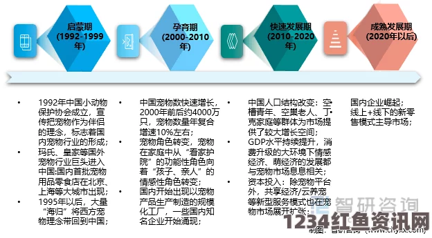 麻豆传媒国产发展历程分析：如何成为中国娱乐产业的重要力量