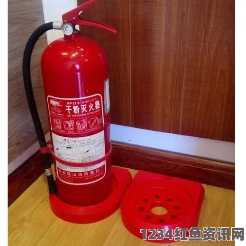 灭火宝贝：家用灭火器的安全神器，守护家庭与生命的必备良品