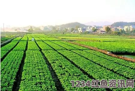 模拟农场25种植土豆需要准备什么