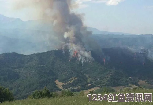 意大利两架超音速战斗机相撞坠毁事件，细节与疑点解析