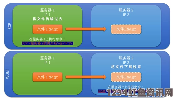 如何有效利用成品网站入口隐藏通道提升安全性和用户体验：详细解析隐藏通道设计技巧