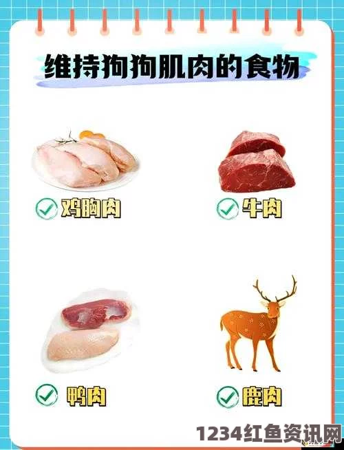 狗和人胶配方20分钟：如何快速制作适合狗狗食用的胶状食品？