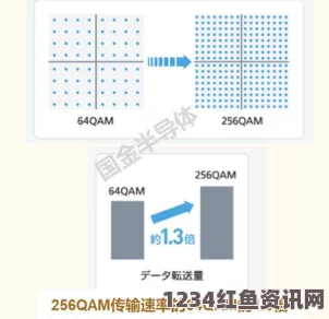 欧射频线与66欧射频线的区别有哪些？哪个更适合你的需求？