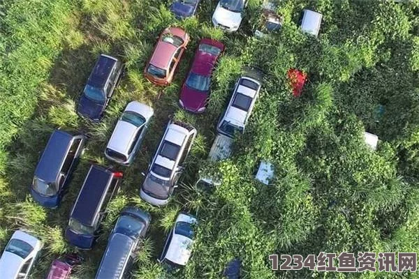 日本无人区码SUV凭借智能科技与越野性能脱颖而出：它是否会成为日本市场的新宠？