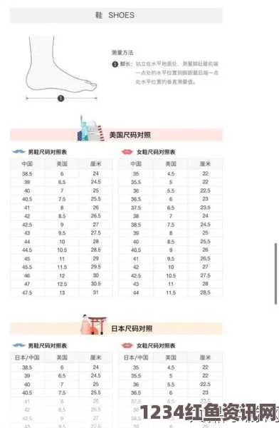 欧洲、日本、韩国尺码差异及专线服务详解：让跨国购物更轻松