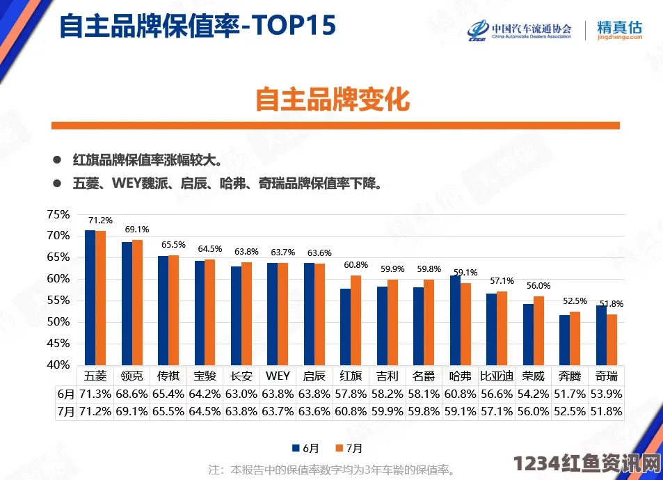 成色P31S是否为国精产品：评估P31S的市场定位与品牌背景