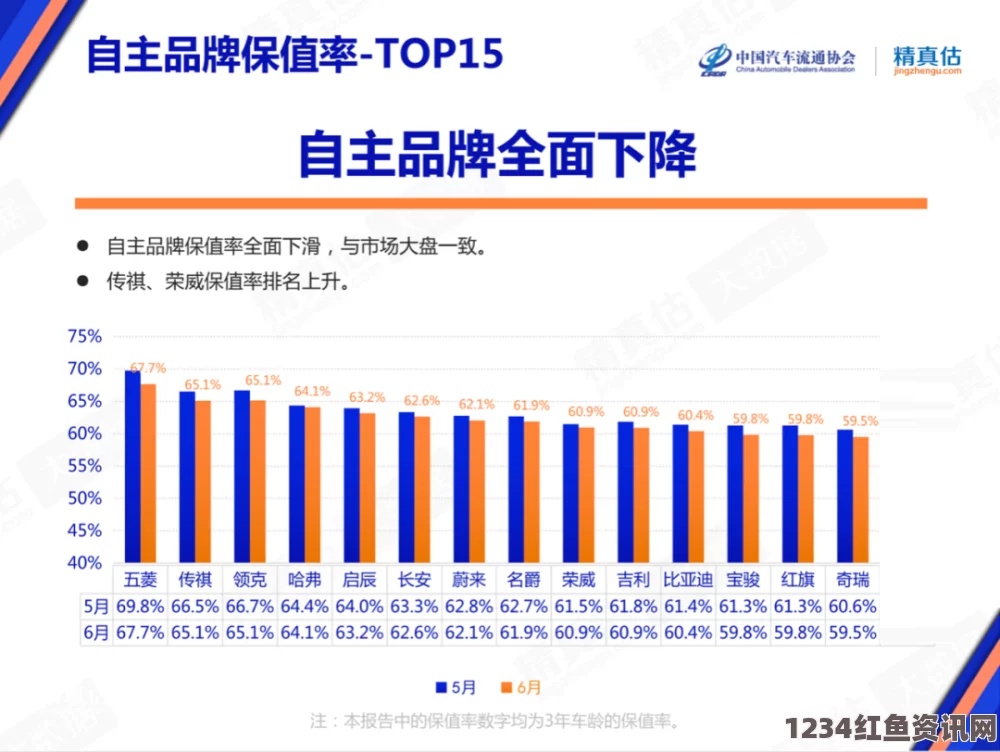 成色P31S是否为国精产品：评估P31S的市场定位与品牌背景