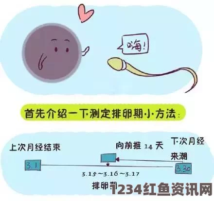 详细讲解如何怀孕的全过程，助你轻松备孕实现怀孕目标