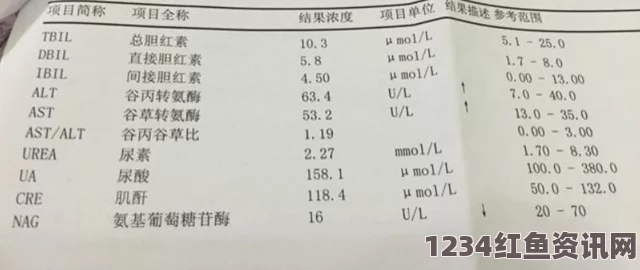 男性体检费用详细解析：了解一般男性体检费用构成与选择合适项目的方法