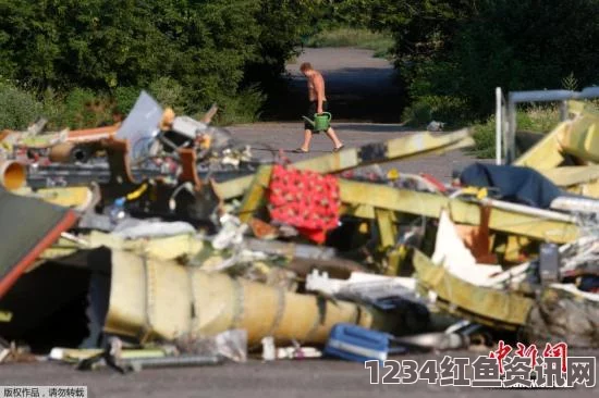 马航MH17客机黑匣子揭示的灾难真相与导弹弹片袭击的骇人事实