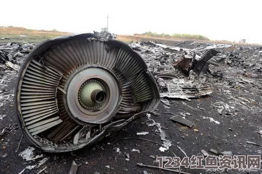 马来西亚政府与乌克兰政府关于MH17空难的立场与责任争端