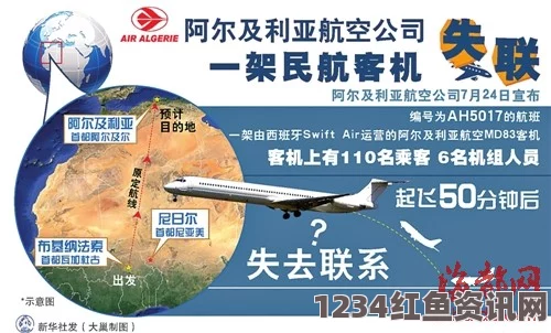 阿尔及利亚航空失联客机确认坠毁，事件深度解析与现场问答揭秘