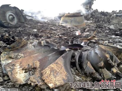 马航MH17航班乘客信息公布，已确认298人国籍详情