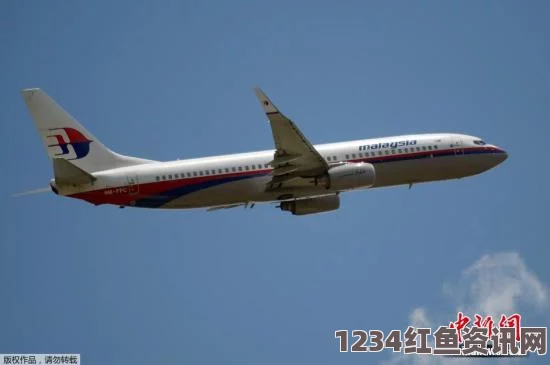 马航MH17坠落瞬间视频曝光，震惊世界的悲剧，乘客全数遇难