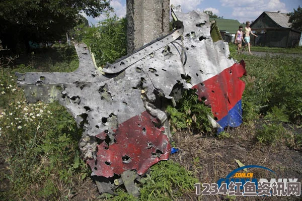 马航MH17客机黑匣子发现及后续调查解析