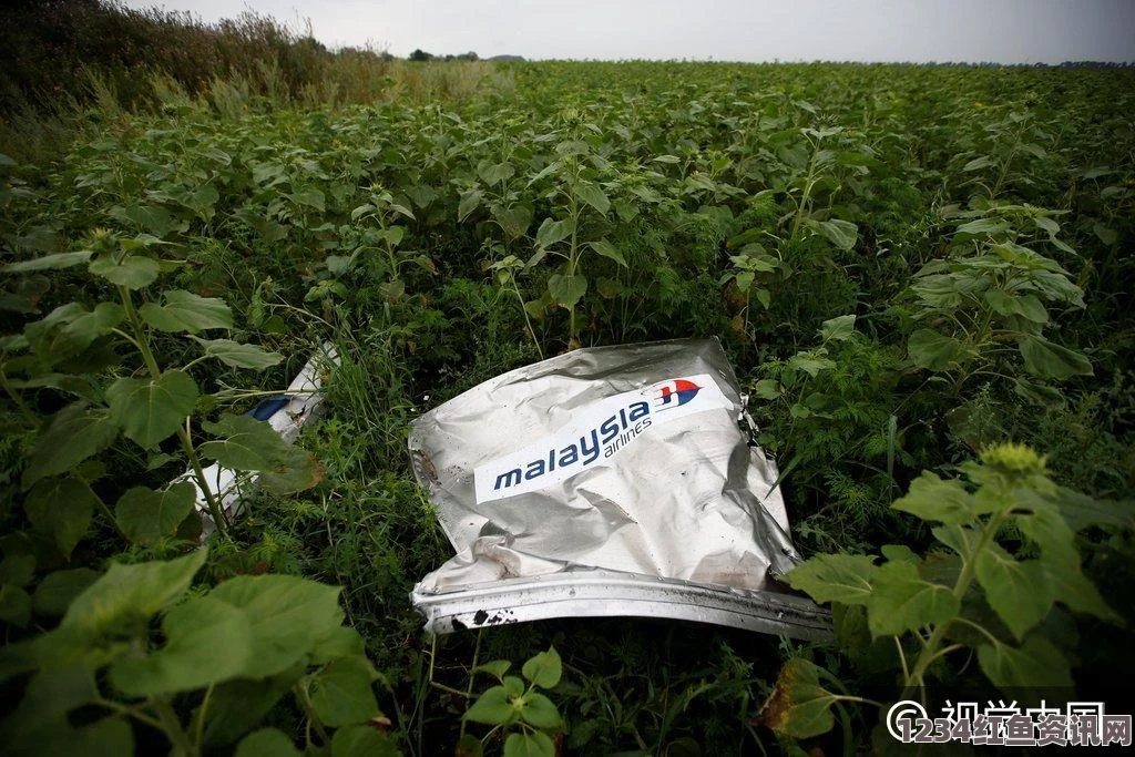 波音公司关注马航MH17客机坠毁事件，深度解析与问答环节