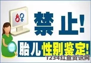 JAPONENSISJAVAHDTV365禁止小孩进入场所的必要性与管理措施，保障孩子安全与健康成长