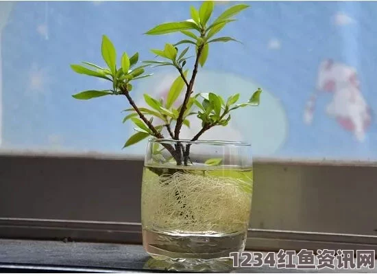 善良的小姨子在线观看床上扦插72种技巧：简单实用的植物繁殖方法助你打造绿色生活