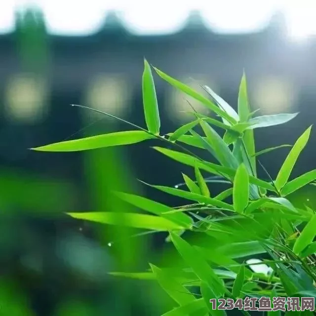 含羞草WWW中国在线资源陌陌影视在线观看高清完整版，哪些平台能提供正版资源？