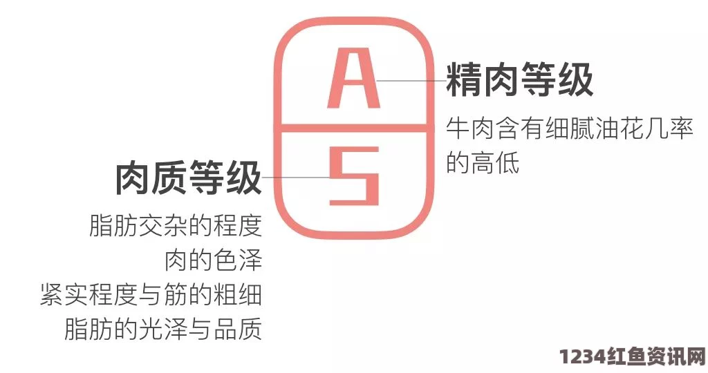 日本无码亚洲精品无码网站老牛如何顺利完成九幺黄9·1安装？详解步骤与常见问题解决方法