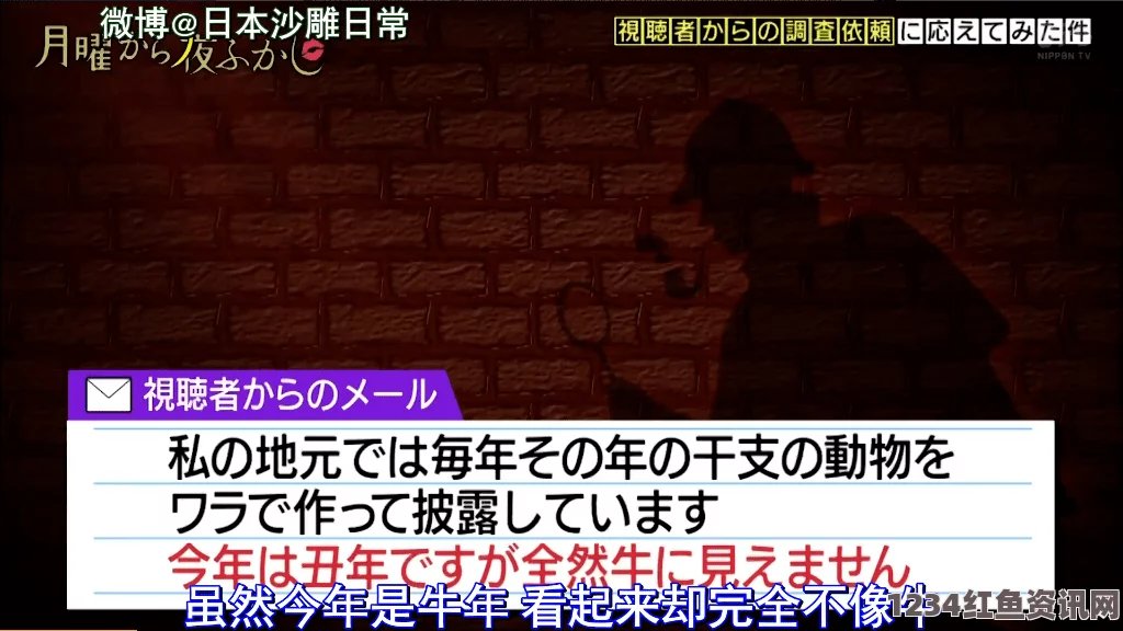 日本无码亚洲精品无码网站老牛如何顺利完成九幺黄9·1安装？详解步骤与常见问题解决方法