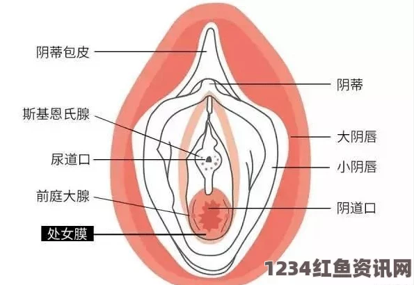 十九岁免费观看全集完整版第一次经历处女膜破裂疼痛18分钟怎么办？怎样缓解痛苦和提高舒适度？