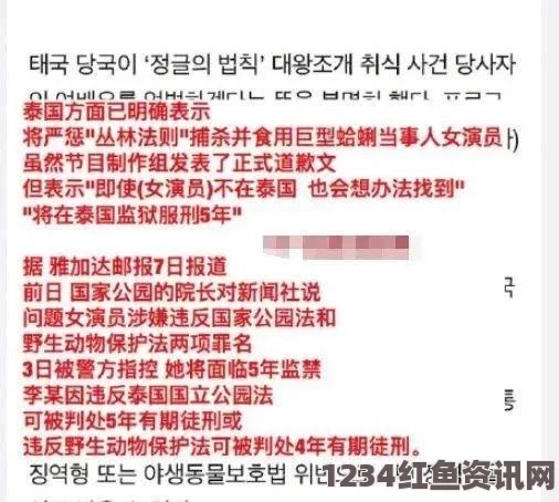 韩国理论大全熄灯后的寝室：如何调节作息与管理打造舒适的寝室环境