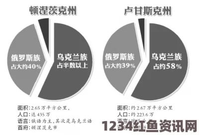 乌克兰东部两州公投决定归属，一周后的关键抉择与未来展望