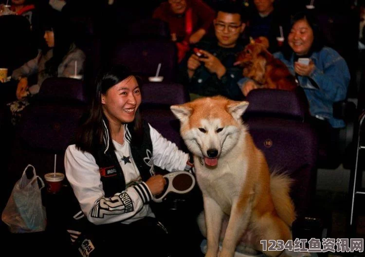 人or猪or狗上门女婿电影完整版免费观看渠道分析：如何选择最佳观影平台