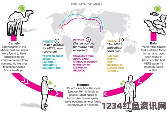 全球恐慌源头，致命MERS病毒传播路径与渠道揭秘