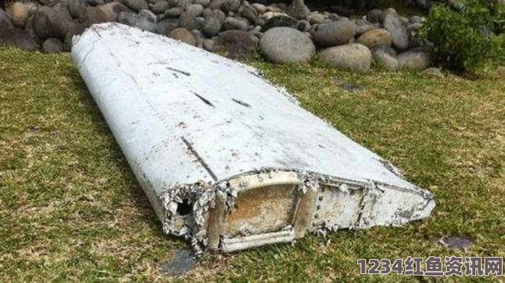 揭秘马航MH370失踪真相，英媒爆料引发全球热议，航班失踪背后隐藏真相揭秘