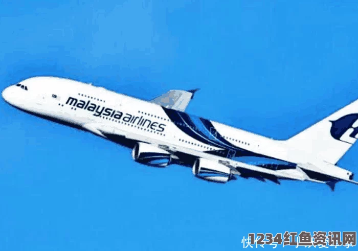 马航MH370失联事件，多国救援力量紧急搜救行动启动