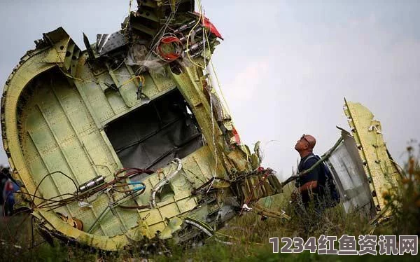 越南海军确认马航失联客机坠入马来西亚海域，国际搜救行动与事件分析