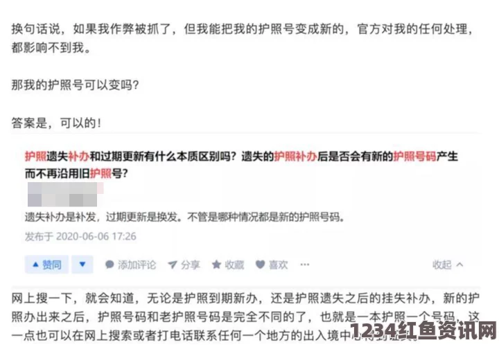 中国托福代考枪手在韩国的法律制裁与跨国教育诚信问题探讨