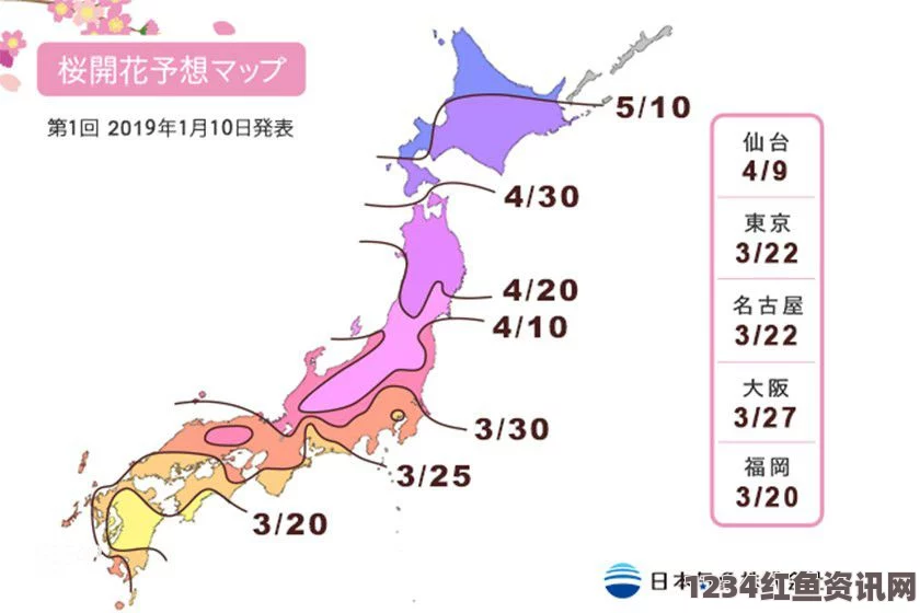 日本第8海星在高知县海域遭遇火灾，多人失踪——最新情况与问答环节