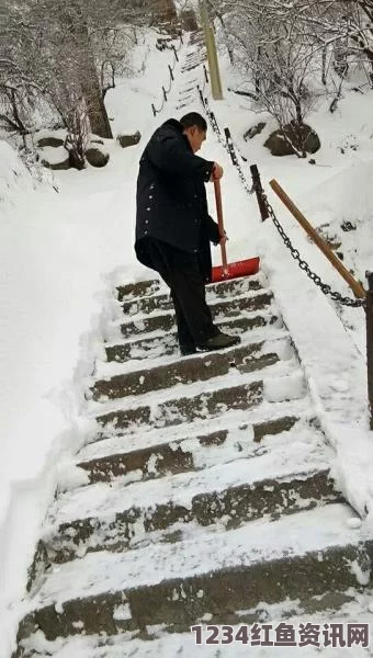 日本大规模雪灾引发屋顶崩塌，多人死亡悲剧震撼全国