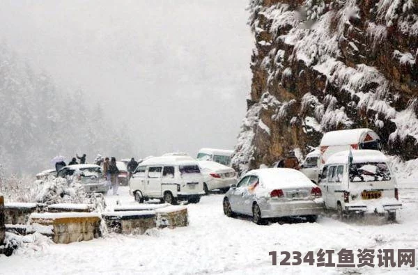 日本大规模雪灾造成多人死亡，事故原因主要是积雪导致屋顶崩塌