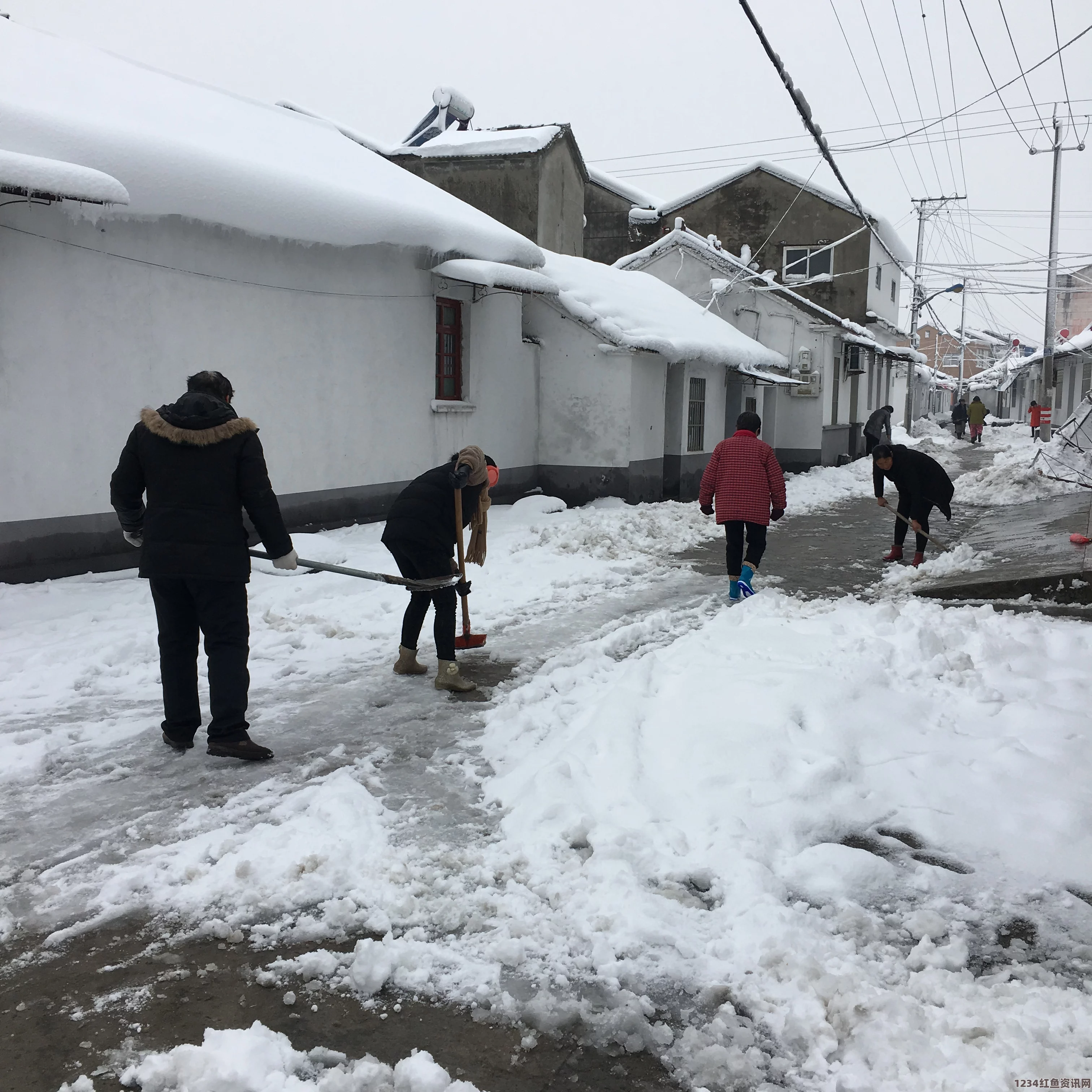 日本大规模雪灾造成多人死亡，事故原因主要是积雪导致屋顶崩塌