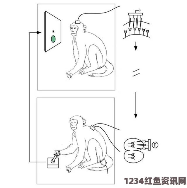 美科学家实现脑电波异体控制，瘫痪患者的福音与未来展望