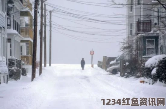 日本暴风雪肆虐致建筑屋顶压垮，航拍画面揭示震撼瞬间