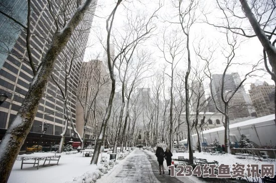 日本暴风雪肆虐，航拍画面揭示多建筑屋顶被压垮的震撼瞬间