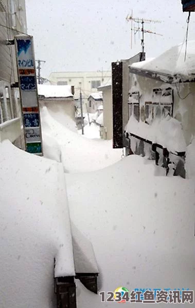 东京暴风雪肆虐，极端天气引发严重灾害