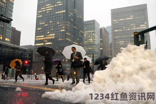 东京遭遇暴风雪袭击，极端天气造成严重影响